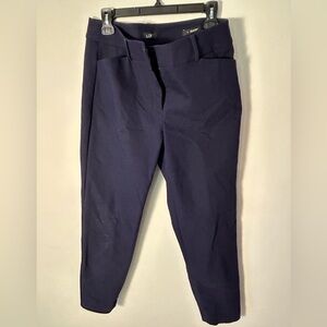 Loft Julie Style Pant
